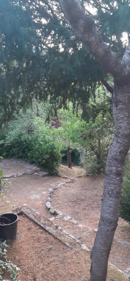 Villa Le Palmine Palazzone Esterno foto